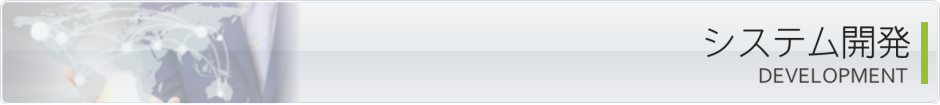 システム開発